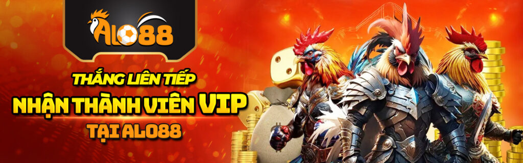 Thắng liên tiếp nhận thành viên VIP tại Alo88