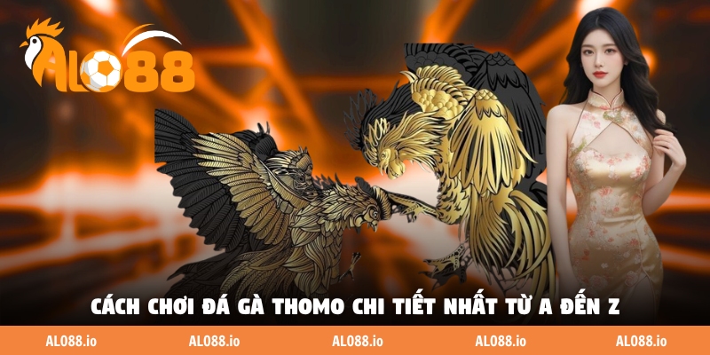 Cách chơi đá gà Thomo chi tiết nhất từ A đến Z