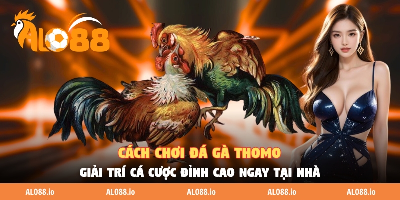 Cách Chơi Đá Gà Thomo Giải Trí Cá Cược Đỉnh Cao Ngay Tại Nhà