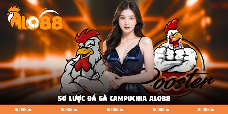 Sơ lược đá gà Campuchia ALO88