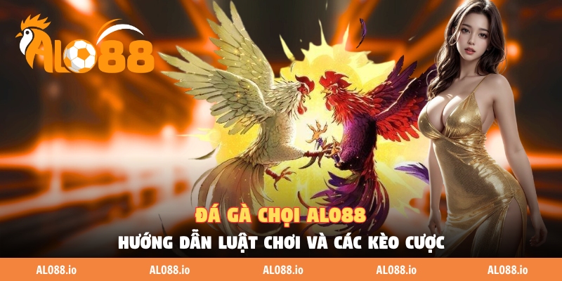 da ga choi alo88