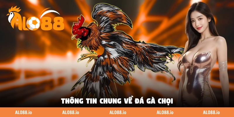 Thông tin chung về đá gà chọi