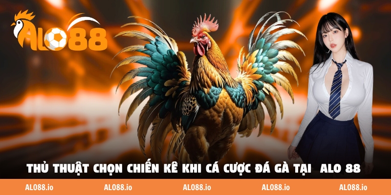 Thủ thuật chọn chiến kê khi cá cược đá gà tại  Alo 88 