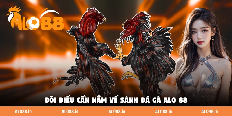 Đôi điều cần nắm về sảnh đá gà Alo 88