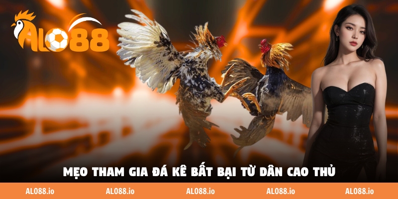 Mẹo tham gia đá kê bất bại từ dân cao thủ