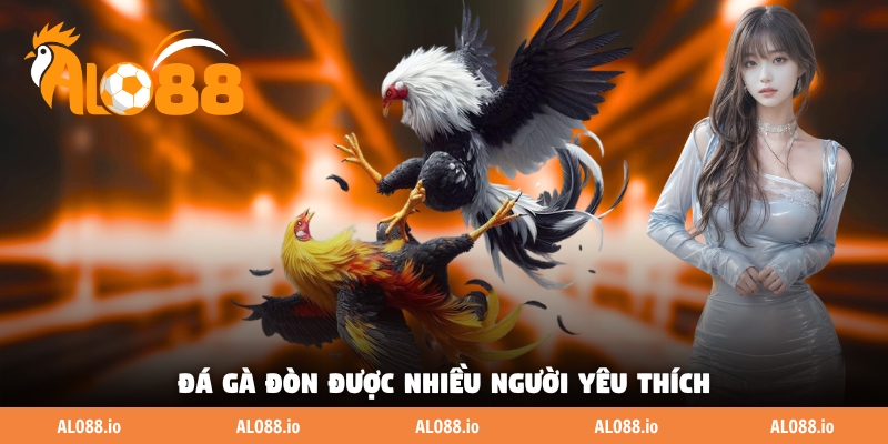 Đá gà đòn được nhiều người yêu thích