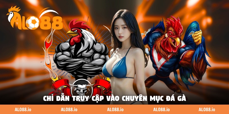Chỉ dẫn truy cập vào chuyên mục đá gà