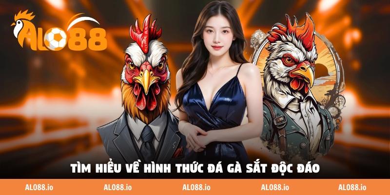 Tìm hiểu về hình thức đá gà sắc độc đáo
