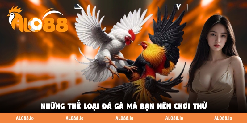 Những thể loại đá gà mà bạn nên chơi thử