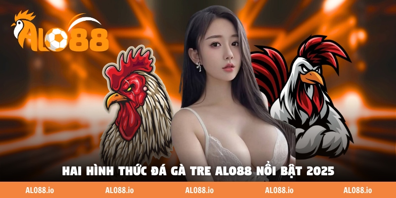 Hai hình thức đá gà tre ALO88 nổi bật 2025