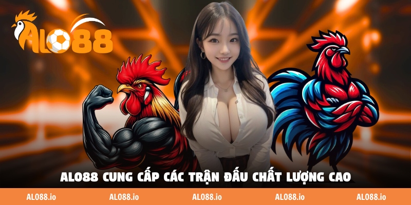 ALO88 cung cấp các trận đấu kê chất lượng cao