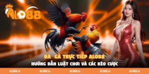 da ga truc tiep alo88 huong dan