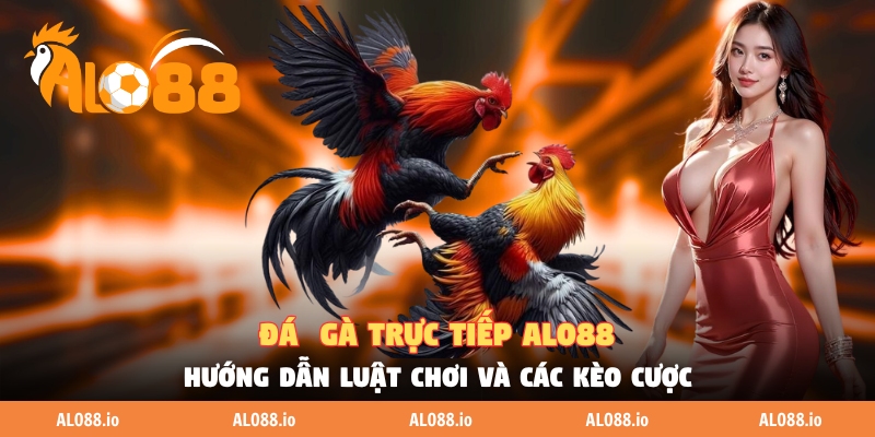 da ga truc tiep alo88 huong dan