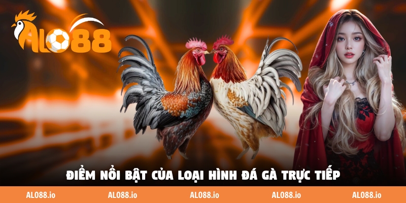 Điểm nổi bật của loại hình đá gà trực tiếp