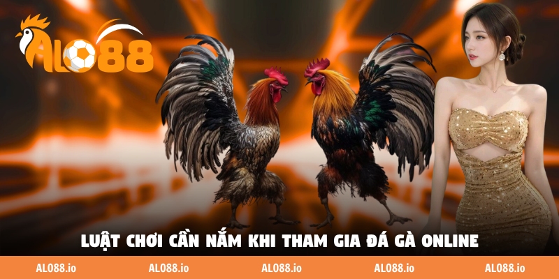 Luật chơi cần nắm khi tham gia đá gà online