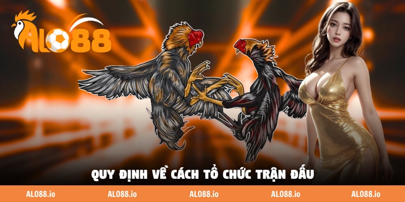 Quy định về cách tổ chức trận đấu