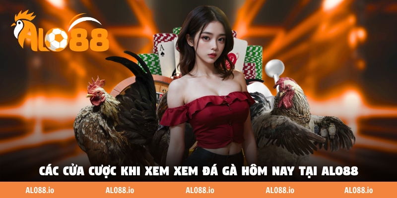 Các cửa cược khi xem xem đá gà hôm nay tại ALO88