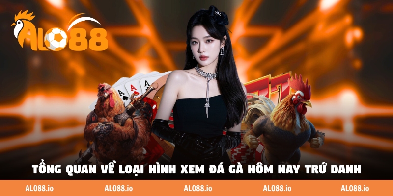 Tổng quan về loại hình xem đá gà hôm nay trứ danh